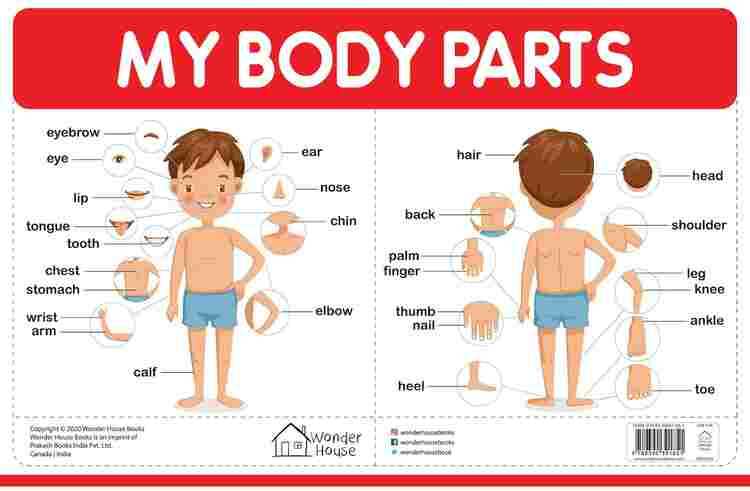 My Body Parts - My First Early Learning Wall Chart: For Preschool, Kindergarten, Nursery And Homesch