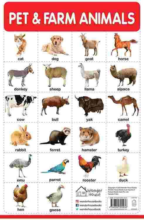 Pet And Farm Animals - My First Early Learning Wall Chart: For Preschool, Kindergarten, Nursery And
