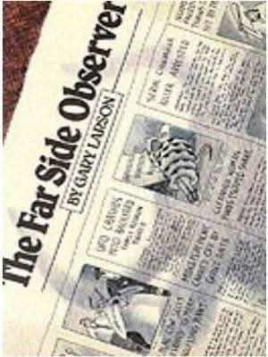 Far Side Observer