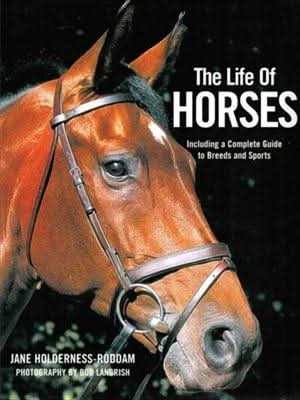 The Life of Horses