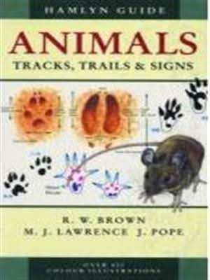 Animals Tracks, Trails and Signs