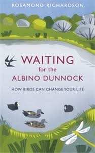 Waiting for the Albino Dunnock