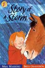 Story Of A Storm