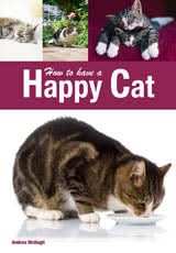 How to have a Happy Cat