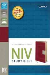 NIV Study Bible Compact Red/Tan