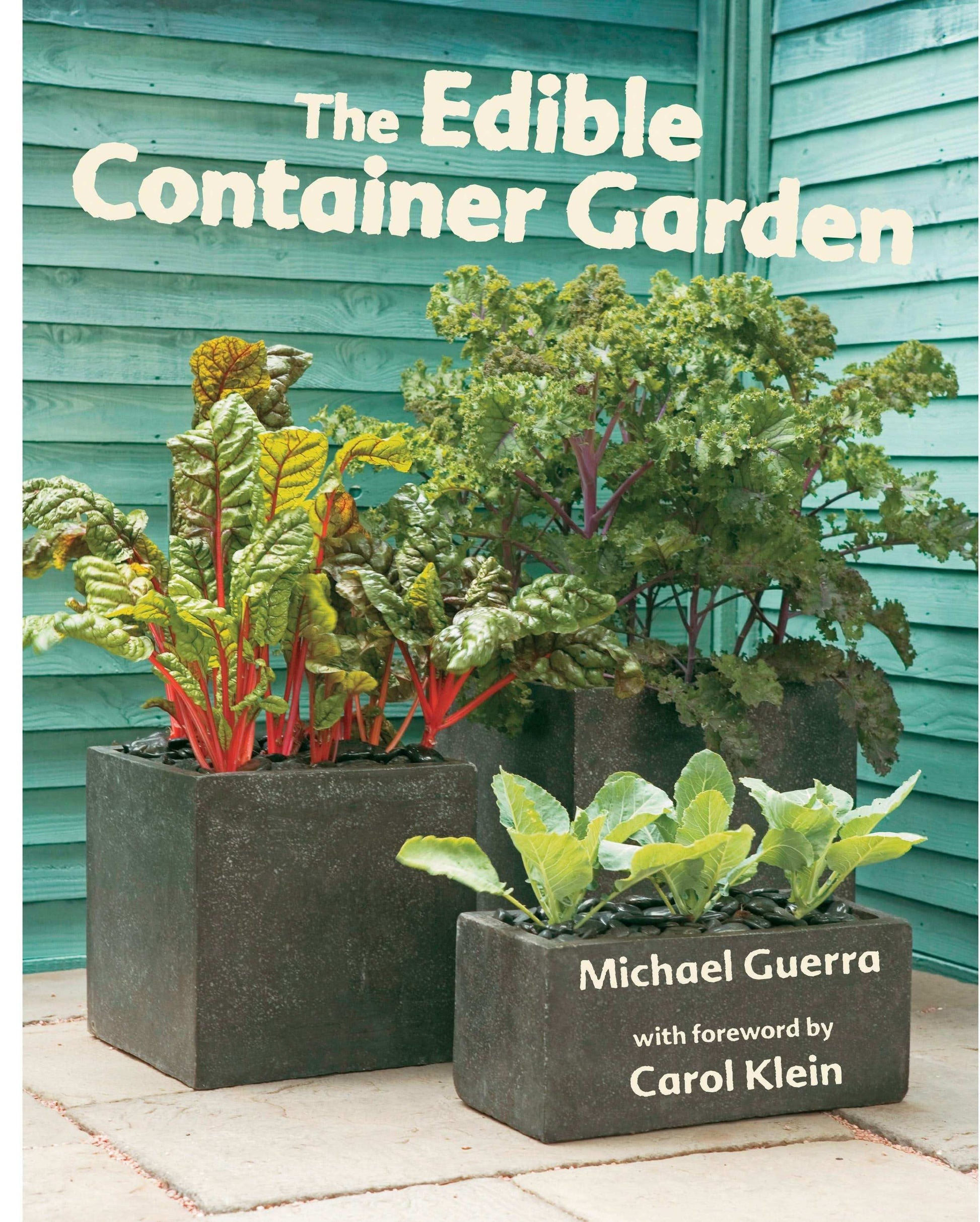 Edible Container Garden