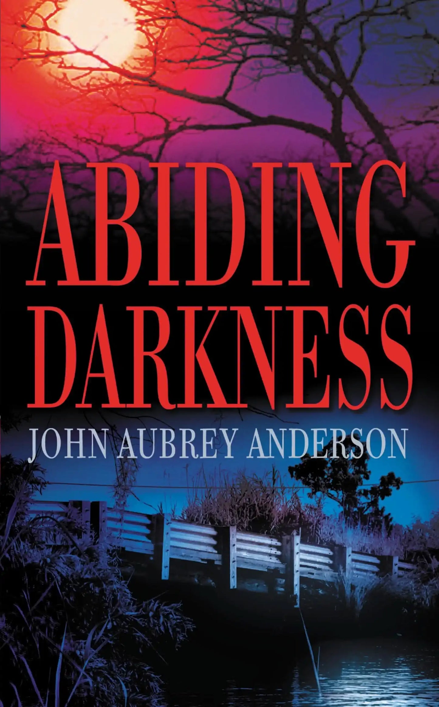 Abiding Darkness