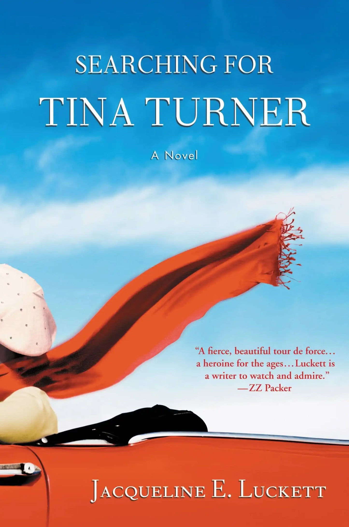 Searching For Tina Turner