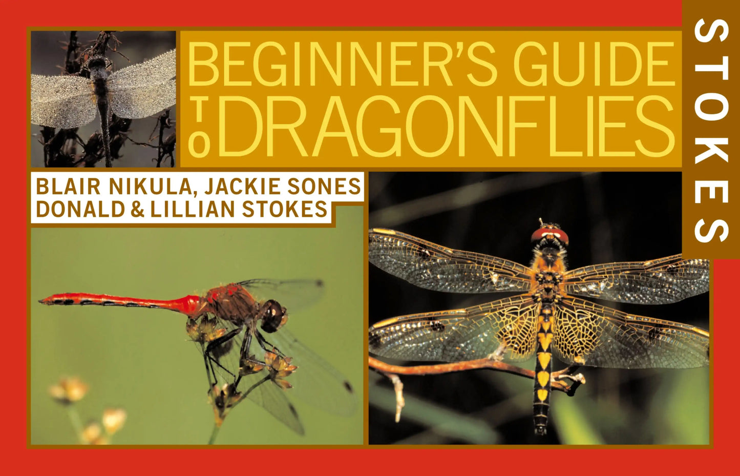 Stokes Beginner's Guide to Dragonflies>