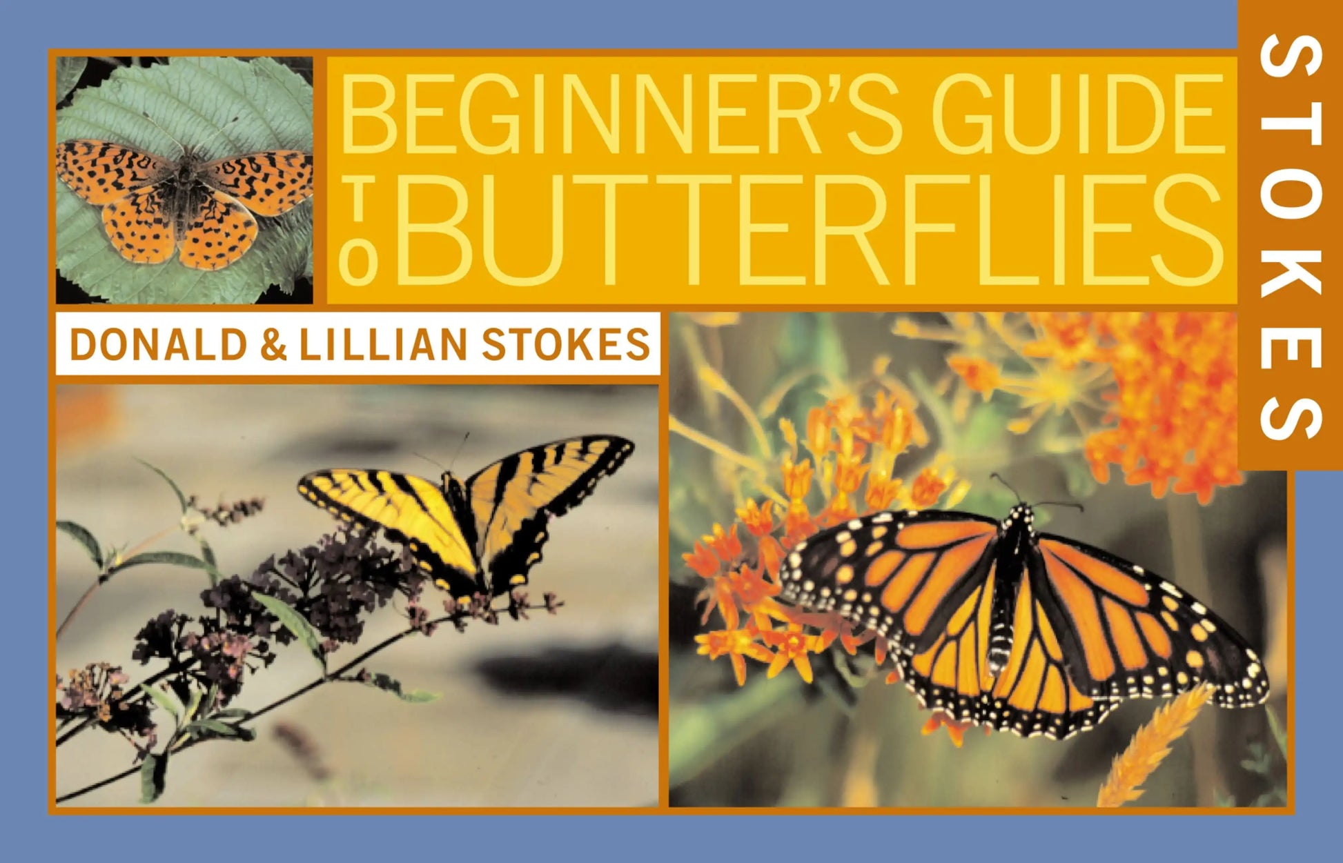 Stokes Beginner's Guide to Butterflies>