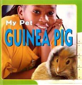 Guinea Pig