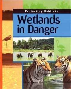 Wetlands In Danger