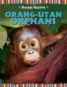 Orang-utan Orphans
