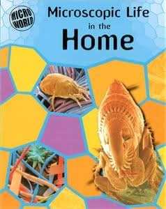 Microscopic Life In Your Home