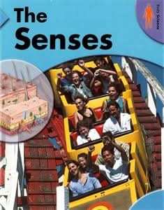 The Senses