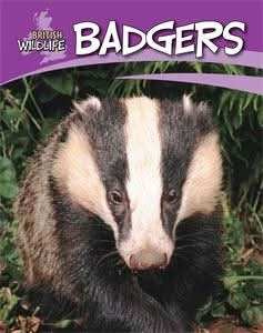 Badgers