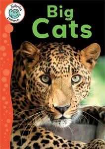 Big Cats