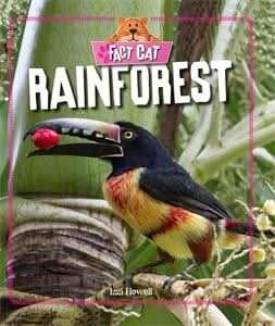 Rainforest