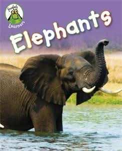 Elephants