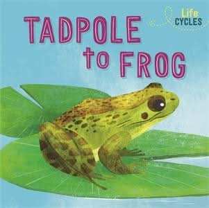 From Tadpole to Frog