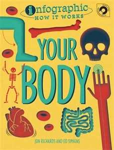 Your Body