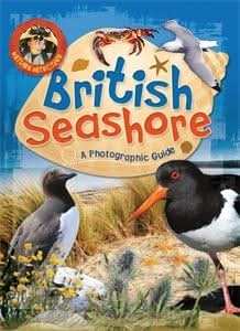 British Seashore