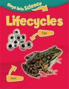 Lifecycles