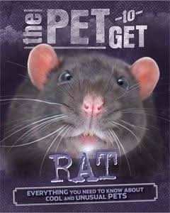 Rat