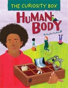 Human Body