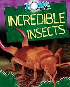 Incredible Insects
