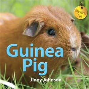 Guinea Pig