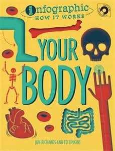 Your Body