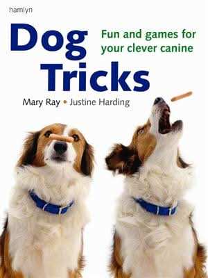 Dog Tricks