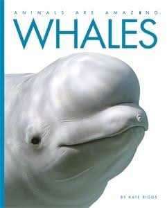 Whales