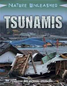 Tsunamis