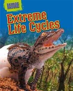 Extreme Life Cycles