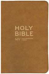 NIV Traveller's Soft-Tone Bible