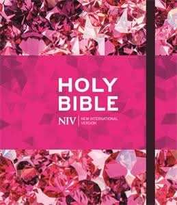 NIV Ruby Journalling Bible