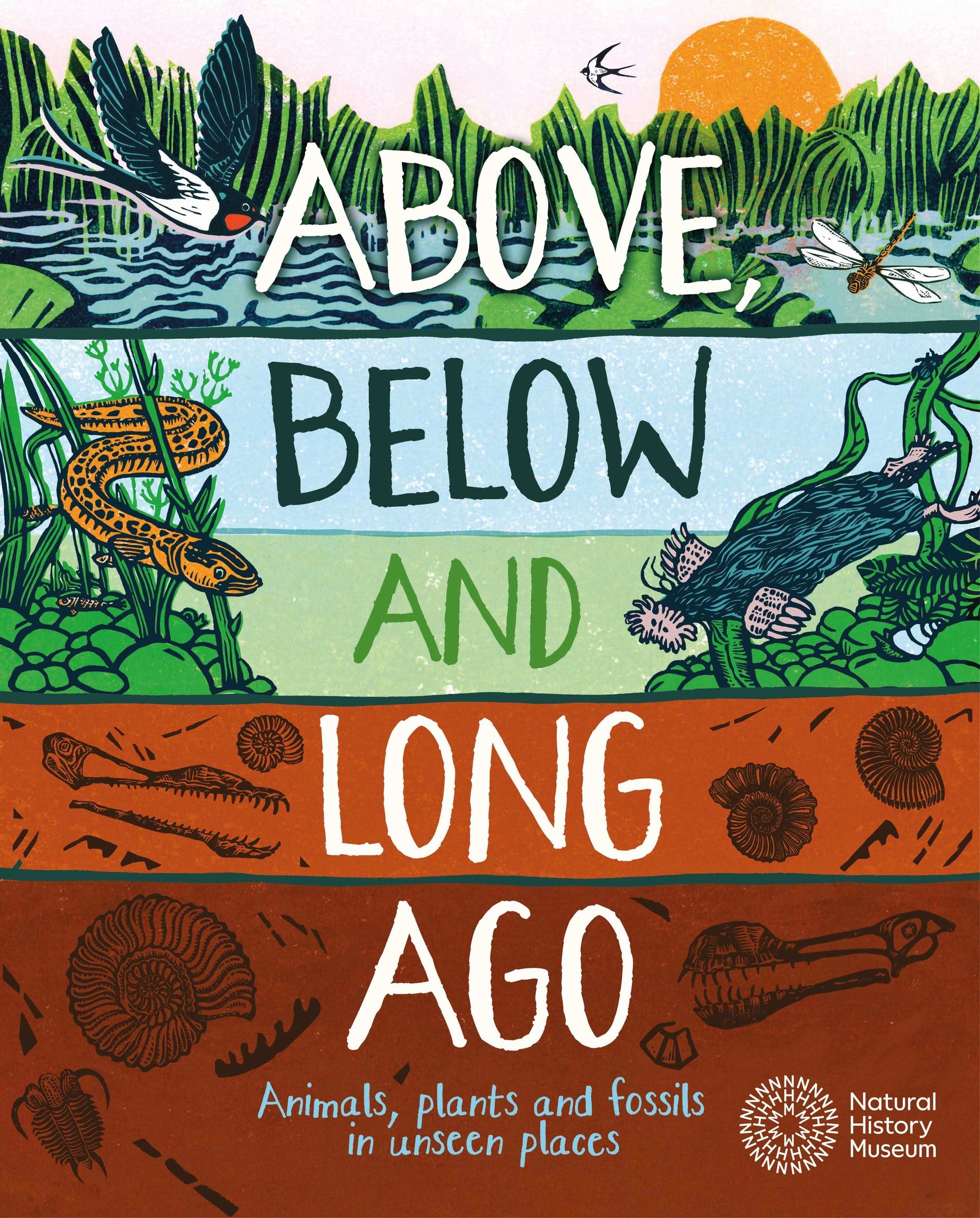 Above, Below And Long Ago: Animals, Plants And Fossils In Unseen Places