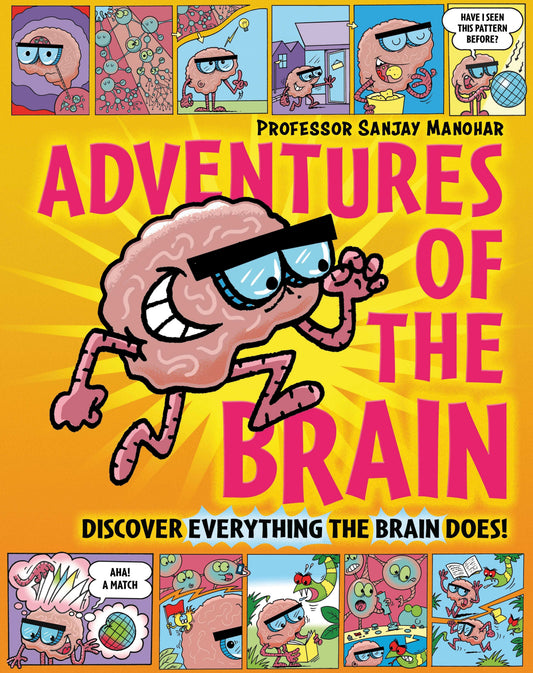 Adventures of The Brain:What The Brain Does And How It Works