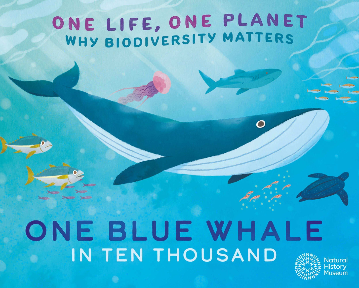 One Life, One Planet: One Blue Whale In Ten Thousand:Why Biodiversity Matters