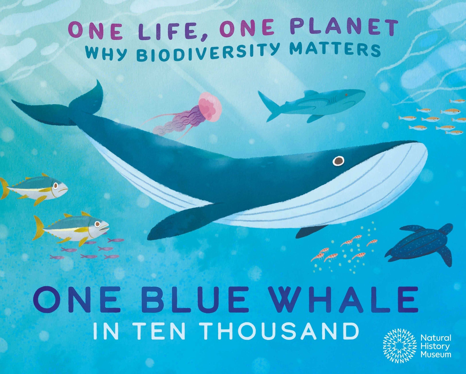One Life, One Planet: One Blue Whale In Ten Thousand:Why Biodiversity Matters