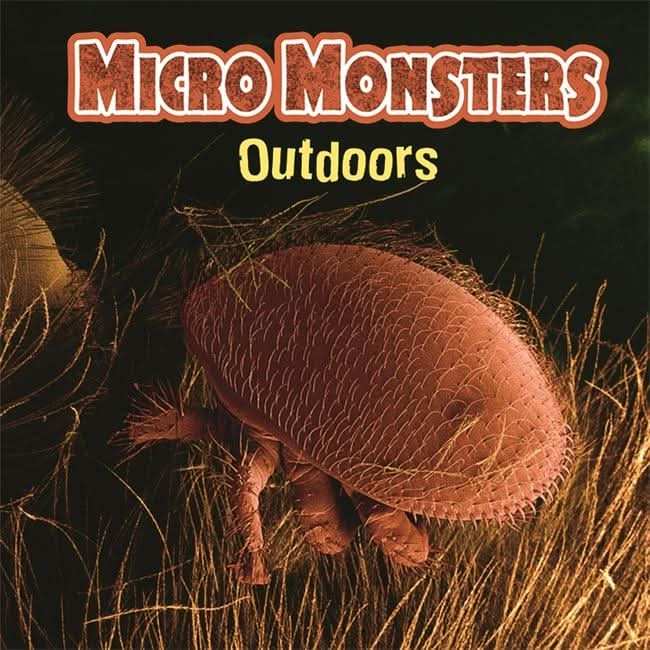 Outdoors