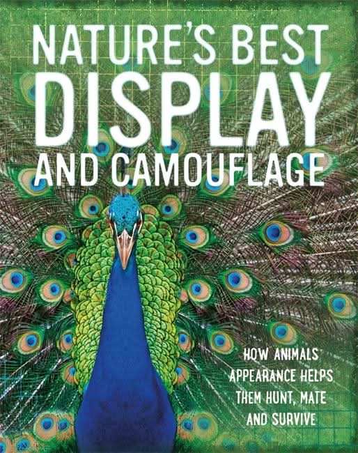 Display and Camouflage