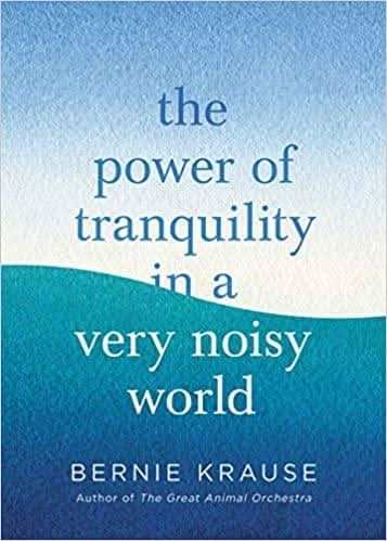 The Power Of Tranquility In A Very Noisy World