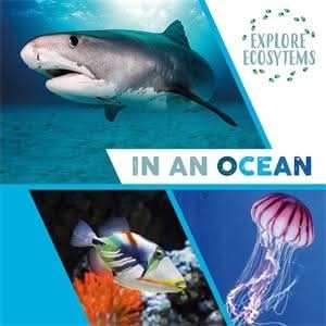 In an Ocean