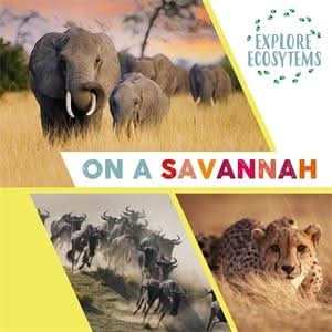 On a Savannah