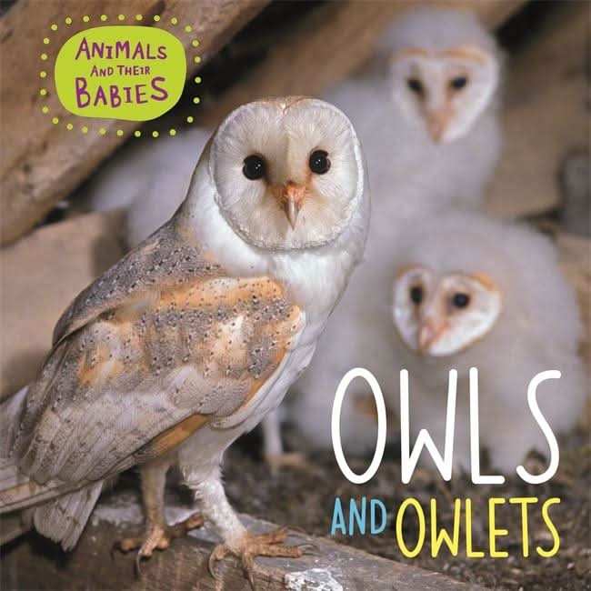 Owls & Owlets