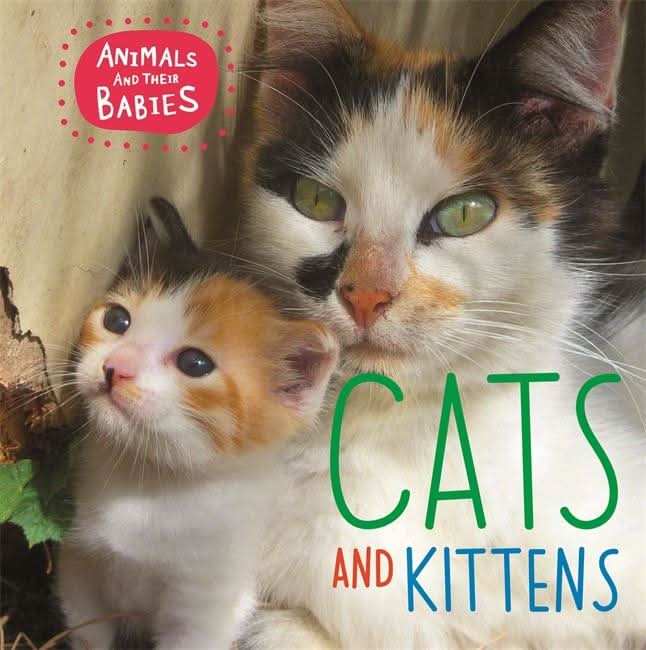 Cats & kittens
