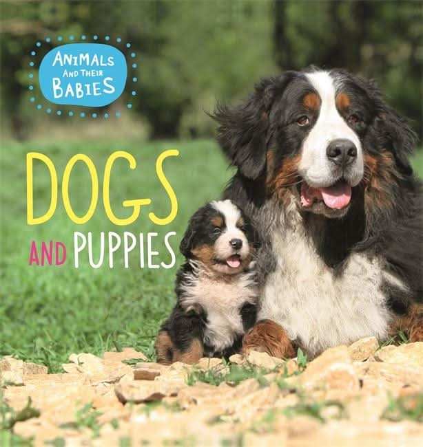 Dogs & puppies